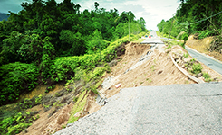 防災分野