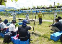 長野実践道場_クロップナビ設置